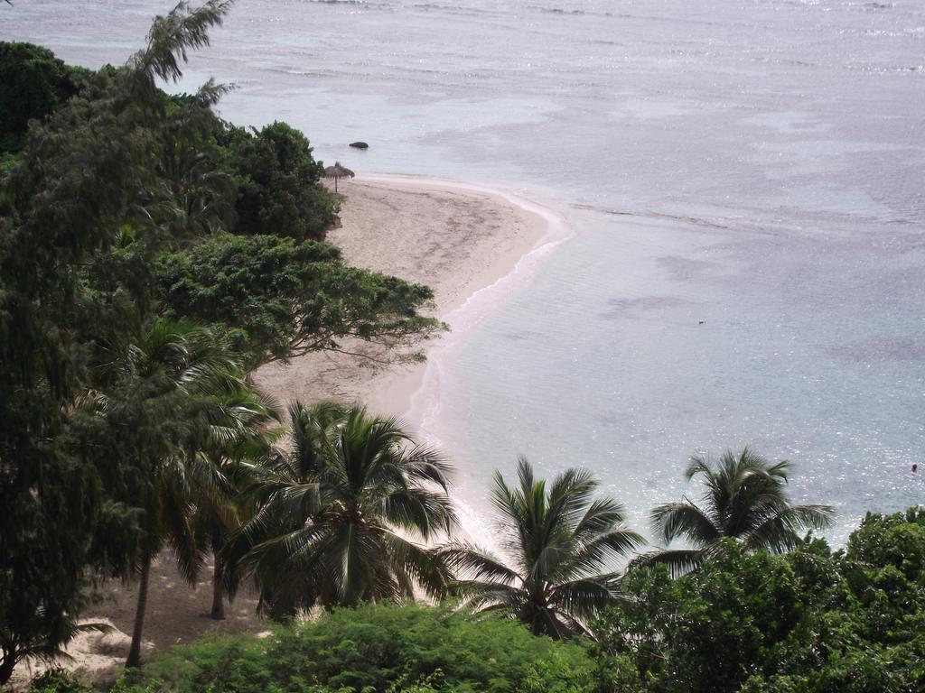 L'Oiseau Du Paradis Vue Mer Studio A Saint Francois A 100 M De La Plage 客房 照片