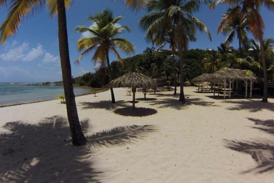 L'Oiseau Du Paradis Vue Mer Studio A Saint Francois A 100 M De La Plage 外观 照片