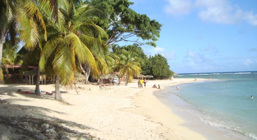 L'Oiseau Du Paradis Vue Mer Studio A Saint Francois A 100 M De La Plage 客房 照片